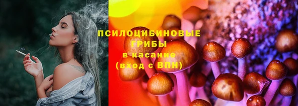 не бодяженный Белокуриха