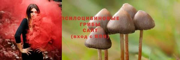 2c-b Балахна