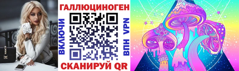 Псилоцибиновые грибы Psilocybe  что такое наркотик  Коркино 